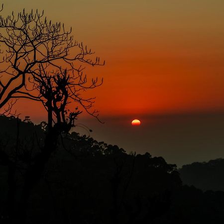 Stayvista At Sunset Springs With Pool & Views Nainital Extérieur photo